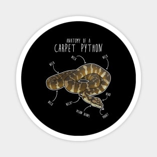 Darwin Carpet Python Snake Anatomy Magnet